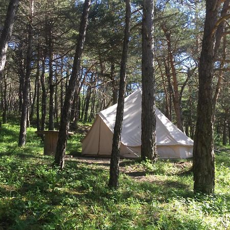 Hotel Camping La Chabannerie Saint-Martin-de-Clelles Exteriér fotografie