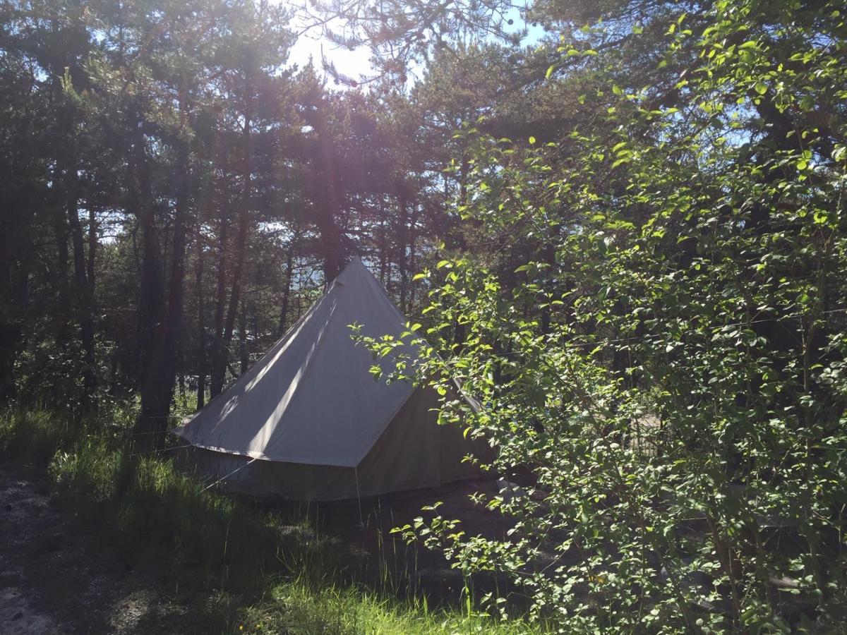 Hotel Camping La Chabannerie Saint-Martin-de-Clelles Exteriér fotografie